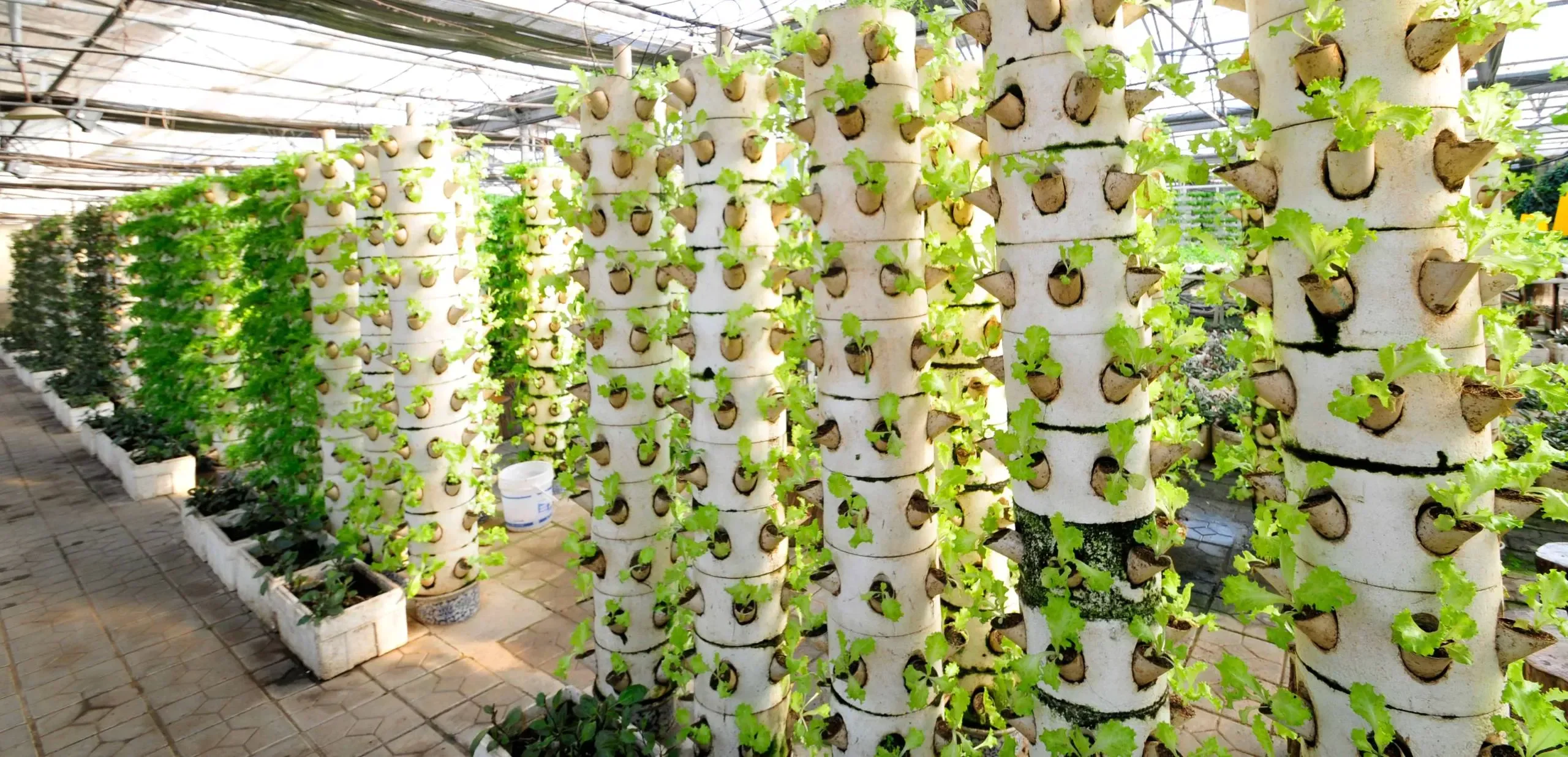 Next‑Gen Greenhouse Climate Control: Trends, Automation & Sustainability Next‑Gen Greenhouse Climate Control: Trends, Automation & Sustainability
